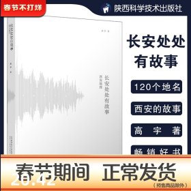 长安处处有故事 西安地理 高宇大哥樊登作序何清麦子音频大唐人文历史读物陕西旅游书籍旅游攻略地域群众文化