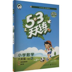 5·3天天练 小学数学 6年级 下册 RJ 2024 曲一线 编 小学教辅文教 新华书店正版图书籍 教育科学出版社