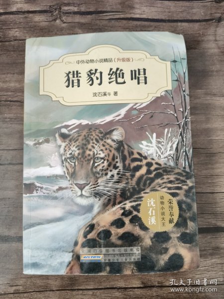 中外动物小说精品（升级版）：猎豹绝唱