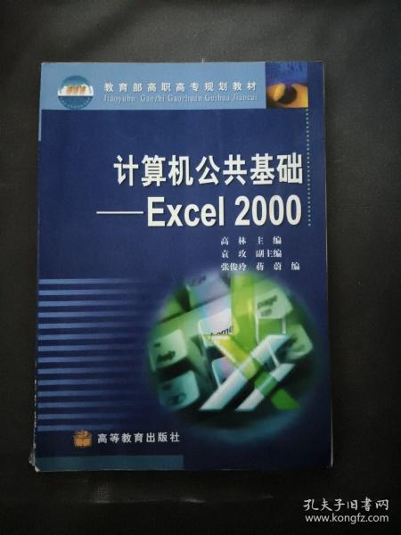 计算机公共基础:Excel 2000