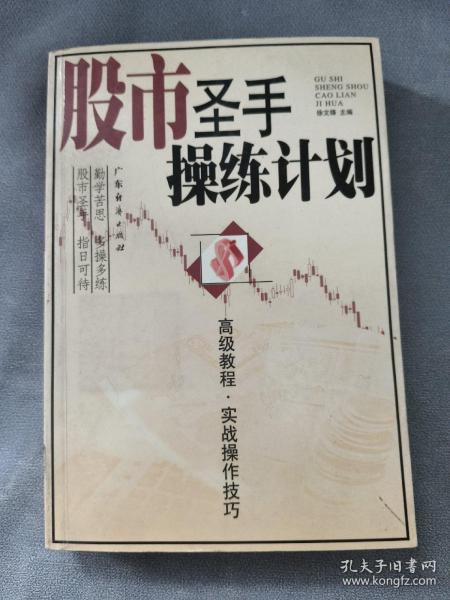 股市圣手操练计划: 高级教程实战操作技巧