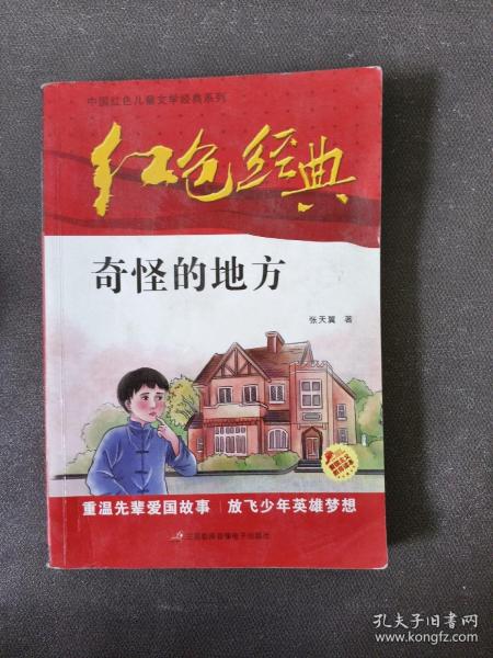 红色经典—奇怪的地方 中国红色儿童文学经典系列 小学生四五六年级课外书 少年励志红色经典书籍故事书 革命传统教育读本爱国