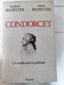 Condorcet (1743-1794): un intellectuel en politique