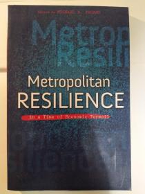 Metropolitan Resilience in a Time of Economic Turmoil