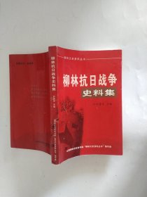 柳林抗日戰(zhàn)爭史料集（柳林文史資料叢書）