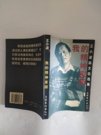 我的精神家园:王小波杂文自选集