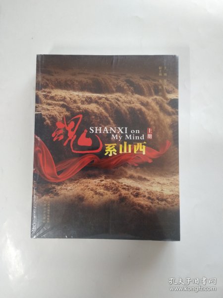 魂系山西（上下）