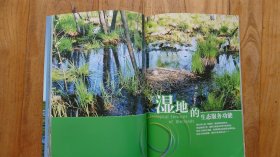 中国湿地概览