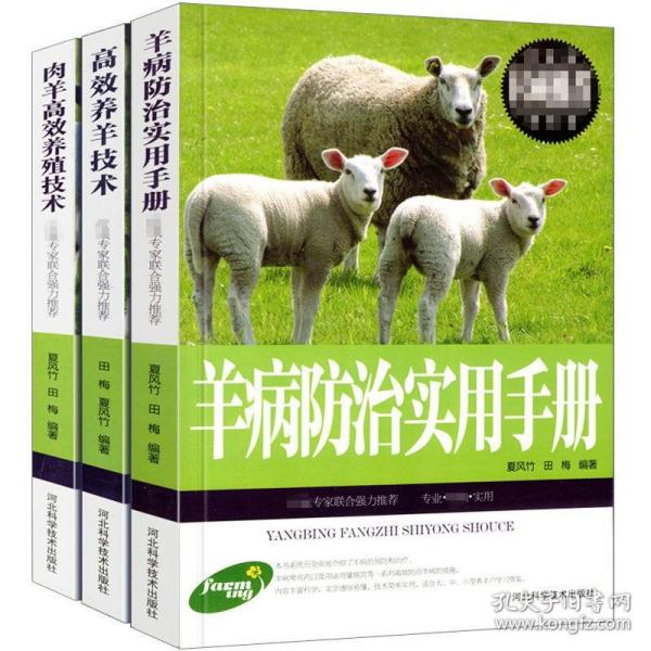 肉羊高效养殖技术