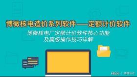 正版软件博微电力工程经济评价2015软件 核电经济评价2015 2C23g