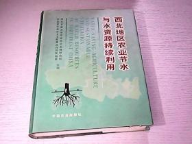 西北地区农业节水与水资源持续利用