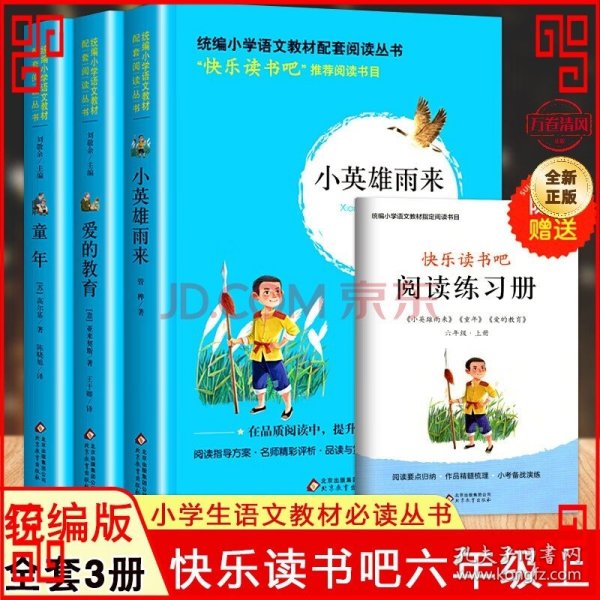 统编版快乐读书吧指定阅读六年级上（套装全3册）童年+爱的教育+小英雄雨来