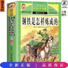 钢铁是怎样炼成的/新课标学生课外必读丛书
