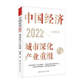 中国经济 2022 城市深化与产业重组 王德培 著 从市场经济到共同富裕 看懂中国经济基本逻辑 经济