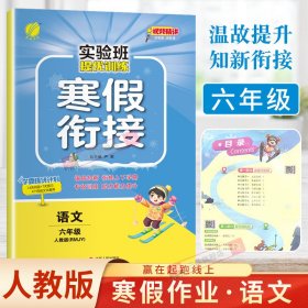 实验班提优训练寒假衔接版 六年级语文人教版 2023年新版衔接上下册学期提优训练每日一练寒假作业本视频精讲强化基础专项练习册