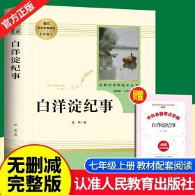 白洋淀纪事 名著阅读课程化丛书（统编语文教材配套阅读）七年级上