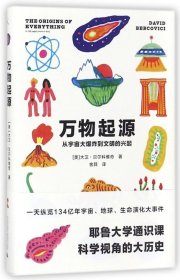 万物起源：从宇宙大爆炸到文明的兴起