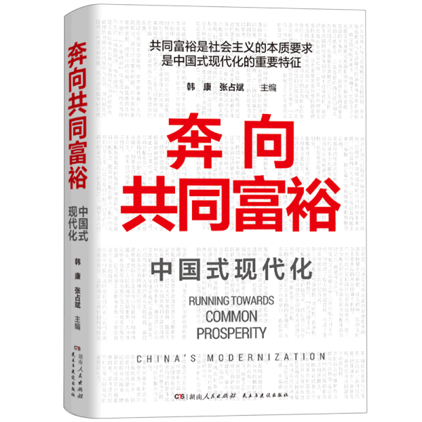 奔向共同富裕（读懂共同富裕，看清未来中国！深入浅出，雅俗共赏，两大TOP级智库联袂巨献，通俗理论重磅大作！）