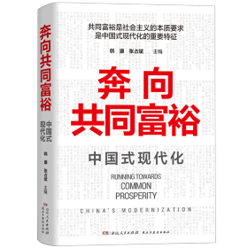 奔向共同富裕（读懂共同富裕，看清未来中国！深入浅出，雅俗共赏，两大TOP级智库联袂巨献，通俗理论重磅大作！）