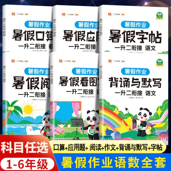 二年级暑假作业语文暑假衔接二升三暑假阅读练字帖看图写话背诵与默写专项训练人教部编版套装共4册