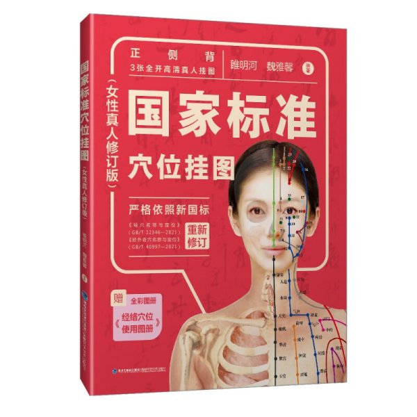 国家标准穴位挂图（女性真人修订版）睢明河 女性正面视角背面视角侧面视角针灸挂图经络穴位使用图册经腧穴定位按摩穴位名称