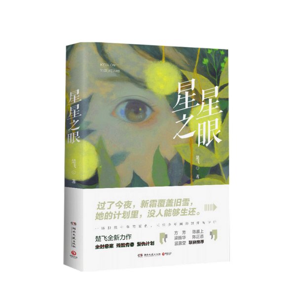 星星之眼（知名导演陈嘉上感动推荐，随书附赠原创文艺风卡片）