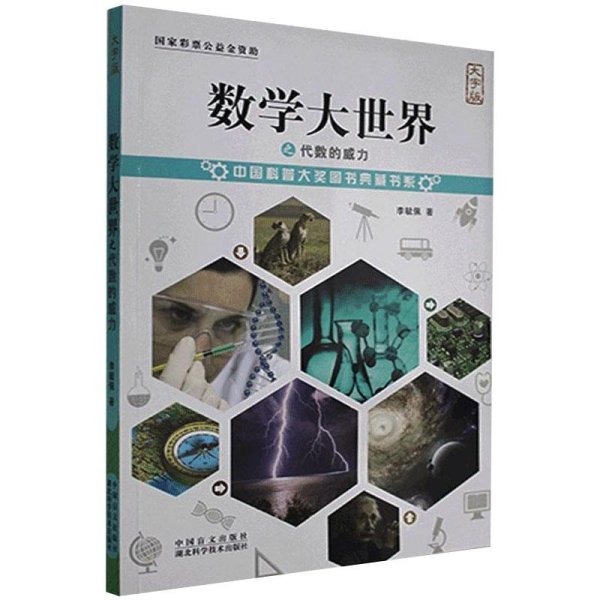 数学大世界之代数的威力