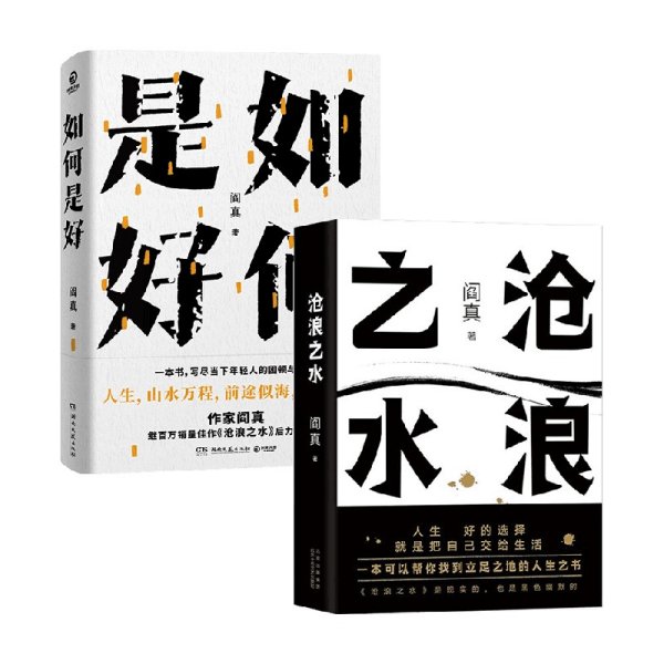 如何是好+沧浪之水 套装2册 阎真 著 文学