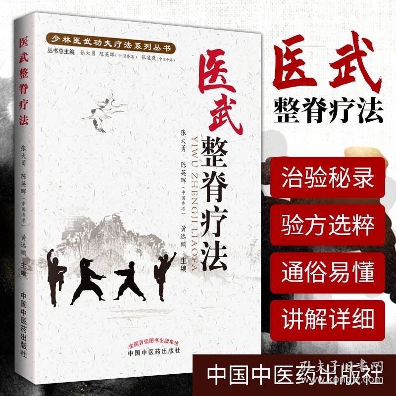 正版 医武整脊疗法 少林医武功夫疗法系列丛书 张大勇 陈英晖等主编 中国中医药出版社