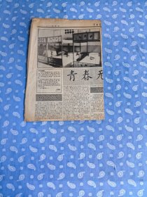 剪报：中国青年报1995.8.1第8版【重点：《冰点：青春无战事》】