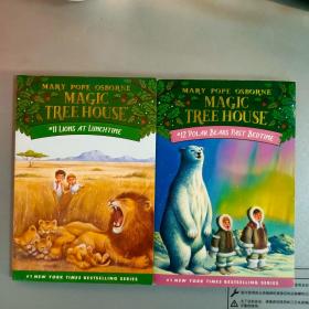 MAGIC TREE HOUSE 11-12共2册