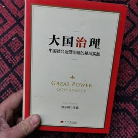 大国治理：中国社会治理创新的基层实践