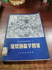 组织胚胎学图谱