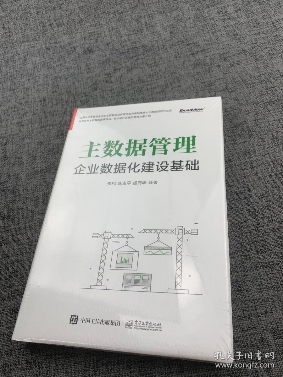 主数据管理：企业数据化建设基础(博文视点出品)（精装版）