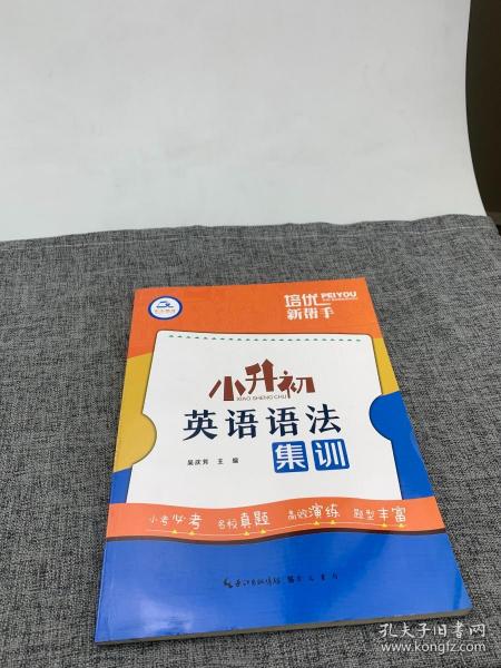 培优新帮手·小升初英语语法集训