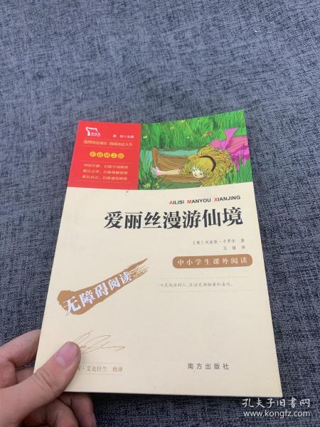 爱丽丝漫游仙境（又名爱丽丝漫游奇境中小学课外阅读无障碍阅读）快乐读书吧六年级下册阅读智慧熊图书