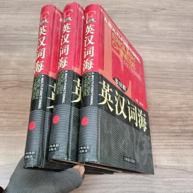 多功能 英汉词海 全三册