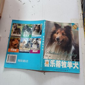 喜乐蒂牧羊犬