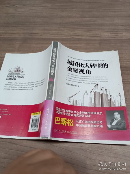 城镇化大转型的金融视角：从更广阔的视角思考中国城镇化转型之路