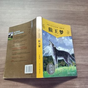 狼王梦