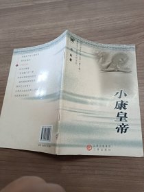 朔州历史文化丛书：小康皇帝