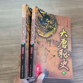 大唐秘史 三