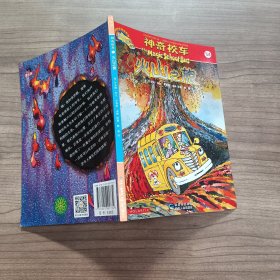 神奇校车阅读版14：火山之旅
