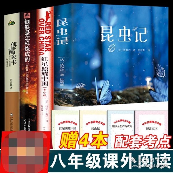 木心全集讲稿系列：文学回忆录(上下册)（2020版）