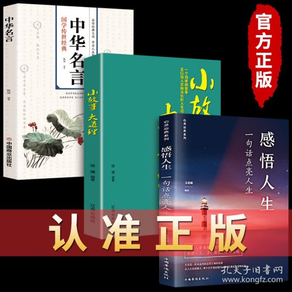 了不起的我：自我发展的心理学