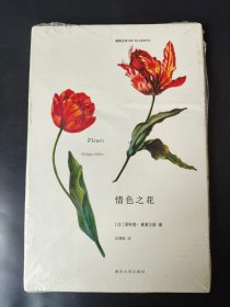 正版全新 A4 情色之花