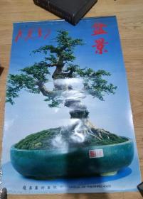 1989年挂历盆景13张全  73*50CM