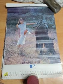 1990年挂历 美女   海风 13张全   75*52CM