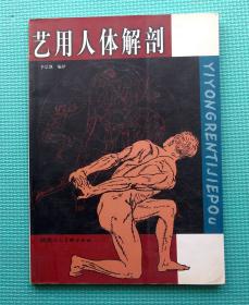艺用人体解剖