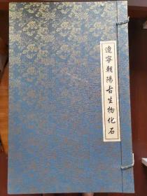 【包邮】中国辽西古生物化石 实物标本 尺寸巨大 游鱼定格 惟妙惟肖。亿万斯年，万古不竭。灵魂不再，身体永存。孤品